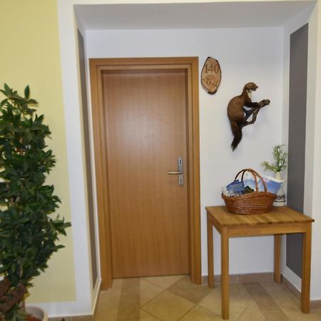 Apartments And Rooms Kod Eli Ravna Gora Luaran gambar